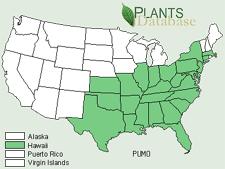 kudzu plant map